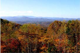 Franklin North Carolina land for sale fall foliage
